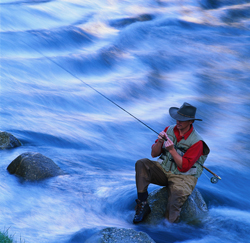 Fisherman.jpg